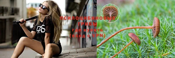 кокаин премиум Алексеевка