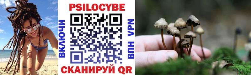 omg ONION  как найти закладки  Красавино  Псилоцибиновые грибы прущие грибы 